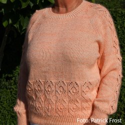 Facet Blusen NYHED! Intro-rabat 25 %